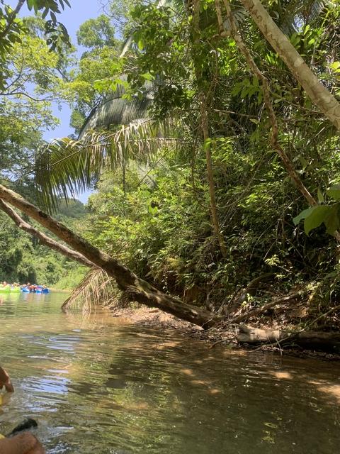 Belize Nohoch Che'en Caves Branch Cave Tubing Excursion Ask for Manuel!! Had a super time!