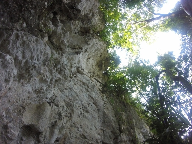 Belize Nohoch Che'en Caves Branch Cave Tubing Excursion DON'T LET THIS ONE PASS BY!!