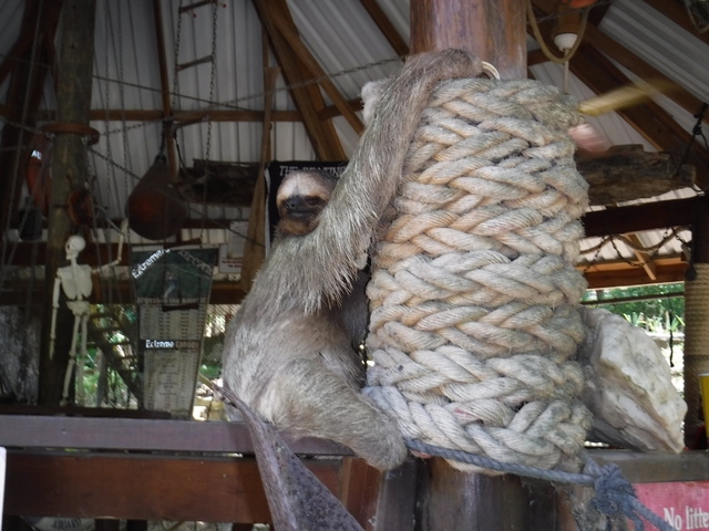 Belize Nohoch Che'en Caves Branch Cave Tubing Excursion Most amazing experience