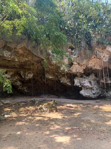 Belize Nohoch Che'en Caves Branch Cave Tubing Excursion with Lunch Love it!