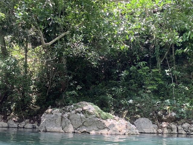 Belize Nohoch Che'en Caves Branch Cave Tubing Excursion with Lunch Ask for Manuel!! Had a super time!