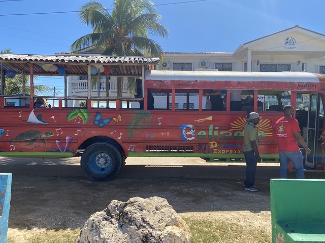Belize Party Bus and Sightseeing Excursion Ways To Go! The best ! 