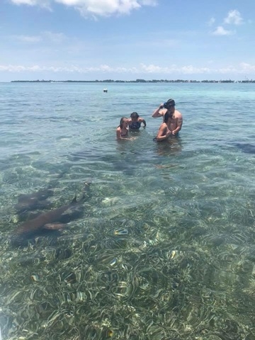 Belize Private Group Hol Chan Marine Park & Shark Ray Alley Snorkel, and Caye Caulker Island Beach Excursion Most amazing day!!