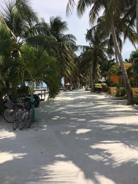 Belize Private Group Hol Chan Marine Park & Shark Ray Alley Snorkel, and Caye Caulker Island Beach Excursion Most amazing day!!