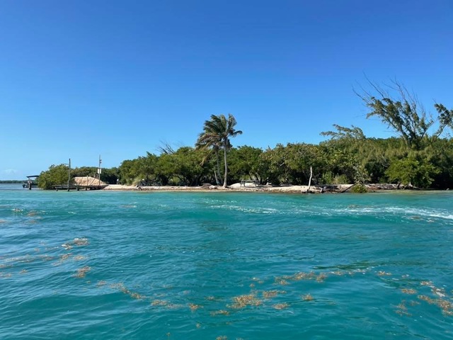 Belize Shark Ray Alley, Coral Gardens Snorkel, and Caye Caulker Island Beach Excursion I would give more than 5 stars if possible!
