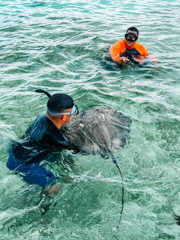 Belize Shark Ray Alley, Coral Gardens Snorkel, and Caye Caulker Island Beach Excursion Awesome experience 