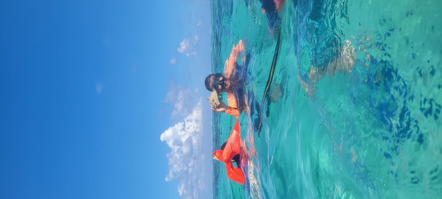Belize Snorkel Shark Ray Alley, Coral Gardens and Caye Caulker Beach Break Excursion Seriously, the BEST Excursion