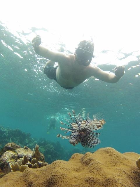 cozumel catamaran cruise excursions best cozumel catamaran sail and snorkel excursion cozumel catamaran cruise excursions best cozumel catamaran sail and snorkel excursion