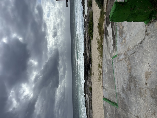 Best of Cozumel Island Highlights Excursion Beyond my expectations!!!!