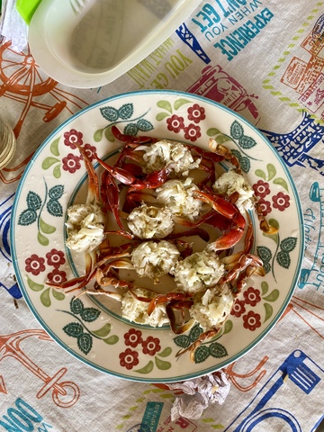 Cartagena Colombia Authentic Native Fishing and Cooking Private Excursion Happy Customers!!