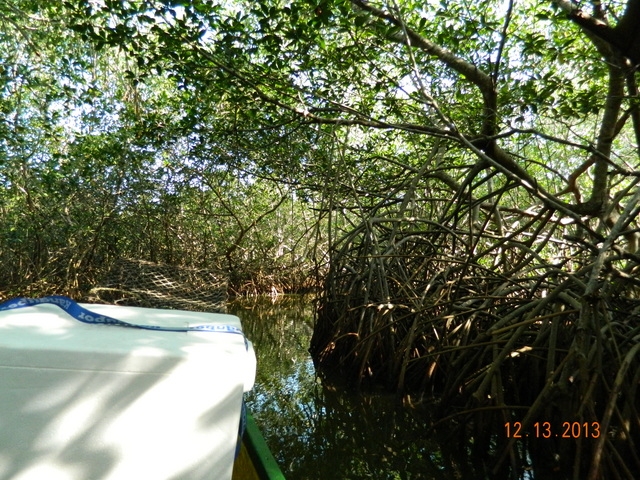 Cartagena Private Native Fishing and Cooking Excursion Awesome!