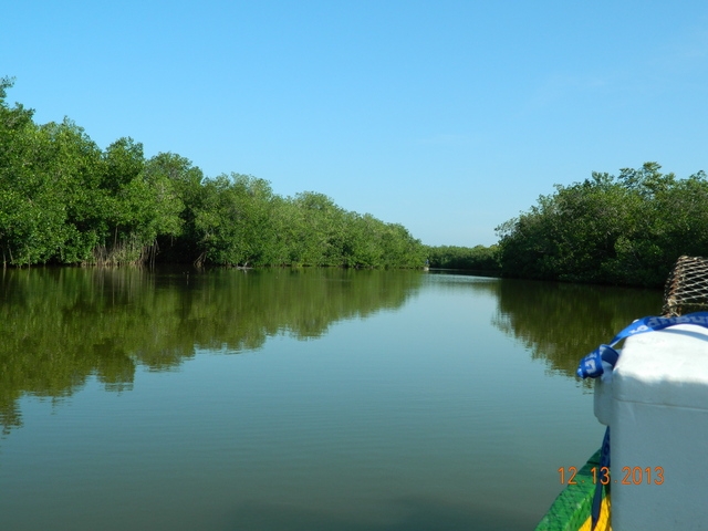 Cartagena Private Native Fishing and Cooking Excursion Awesome!