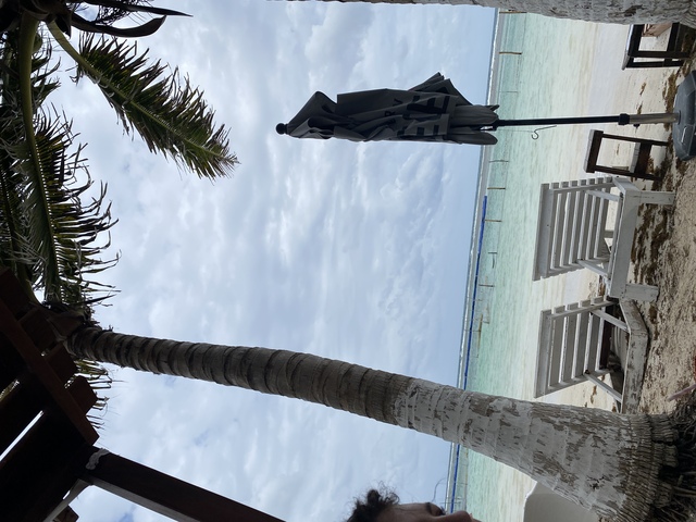 Costa Maya All Inclusive Beach Break Excursion at La Chilangaloense Relaxation at its finest! 