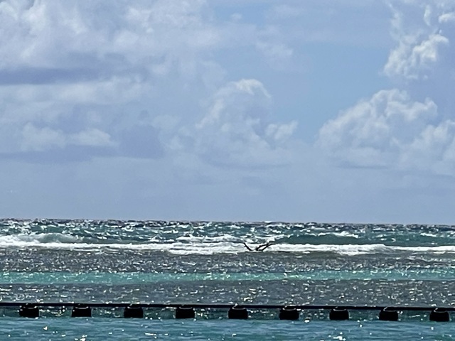Costa Maya El Fuerte Beach Resort All Inclusive Day Pass Love it! Will be back soon!