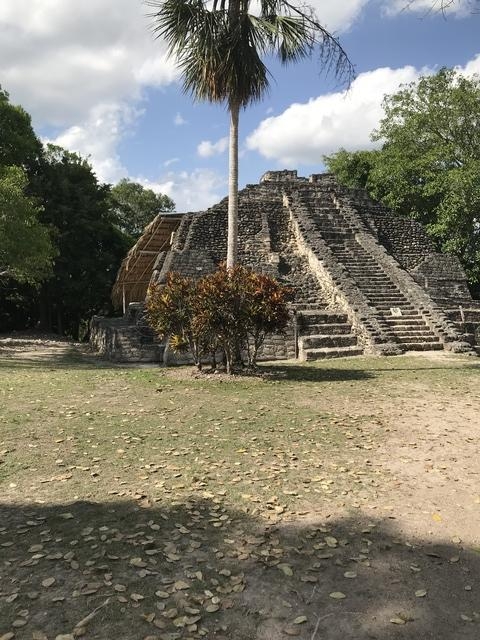 Costa Maya Famous Chacchoben Mayan Ruins Excursion Lifetime Experience 