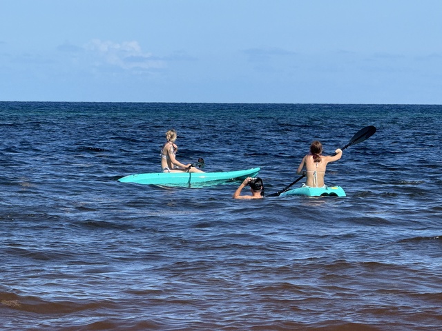 Costa Maya Hayhu Beach Club Deluxe Private Group Day Pass Excursion Fantastic service!!!