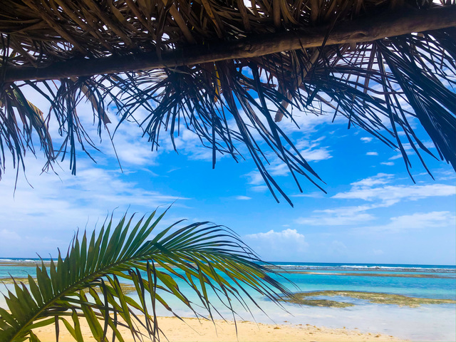 Costa Maya Ibiza Sunset Beach Day Pass Excursion What a great day 