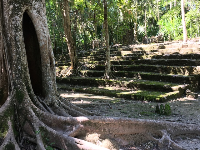 Costa Maya Kohunlich Mayan Ruins Excursion great trip to Chacchoban 