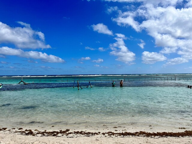 Costa Maya National VIP Beach Break Excursion Food and Drinks were incredible!