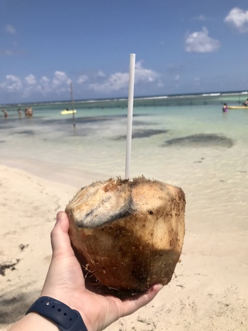 Costa Maya YaYa Beach Break Day Pass Excursion Great day on the beach
