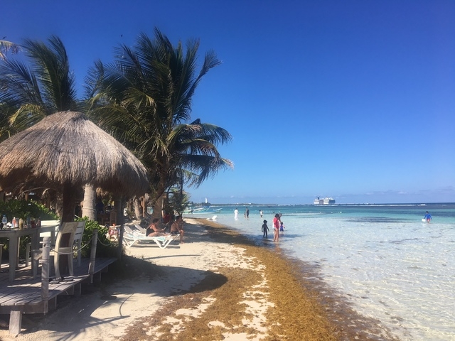 Costa Maya YaYa Beach Break Day Pass Excursion Perfect day with many options