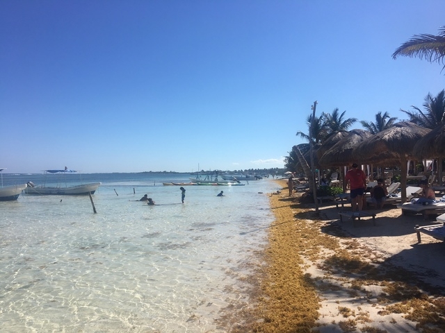 Costa Maya YaYa Beach Break Day Pass Excursion Perfect day with many options