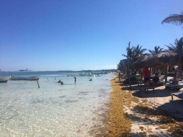 Costa Maya YaYa Beach Club Day Pass: Platinum, Deluxe & Standard Perfect day with many options