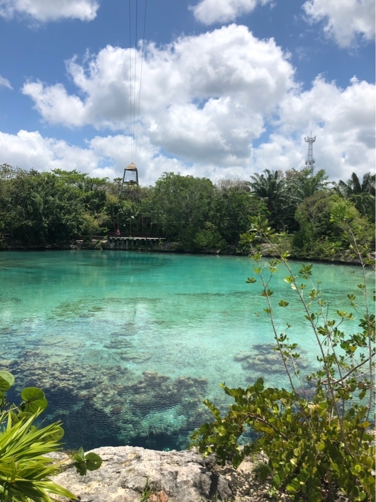 Cozumel Chankanaab Beach Park Snorkel and All Inclusive Day ...