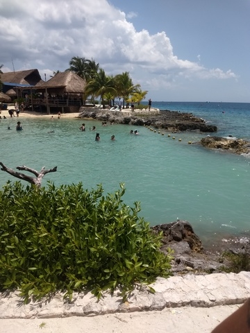 Cozumel Chankanaab Beach Park Snorkel and All Inclusive Day ...