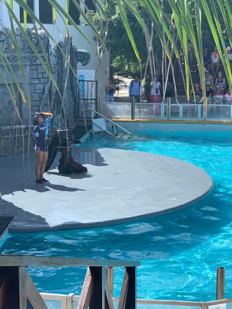 Cozumel Chankanaab Beach Park Snorkel and All Inclusive Day ...
