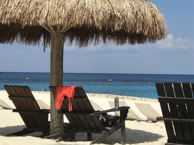 Cozumel Chankanaab Beach Park Snorkel and All Inclusive Day Pass