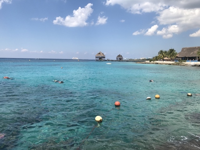 Cozumel Chankanaab Beach Park Snorkel and All Inclusive Day ...