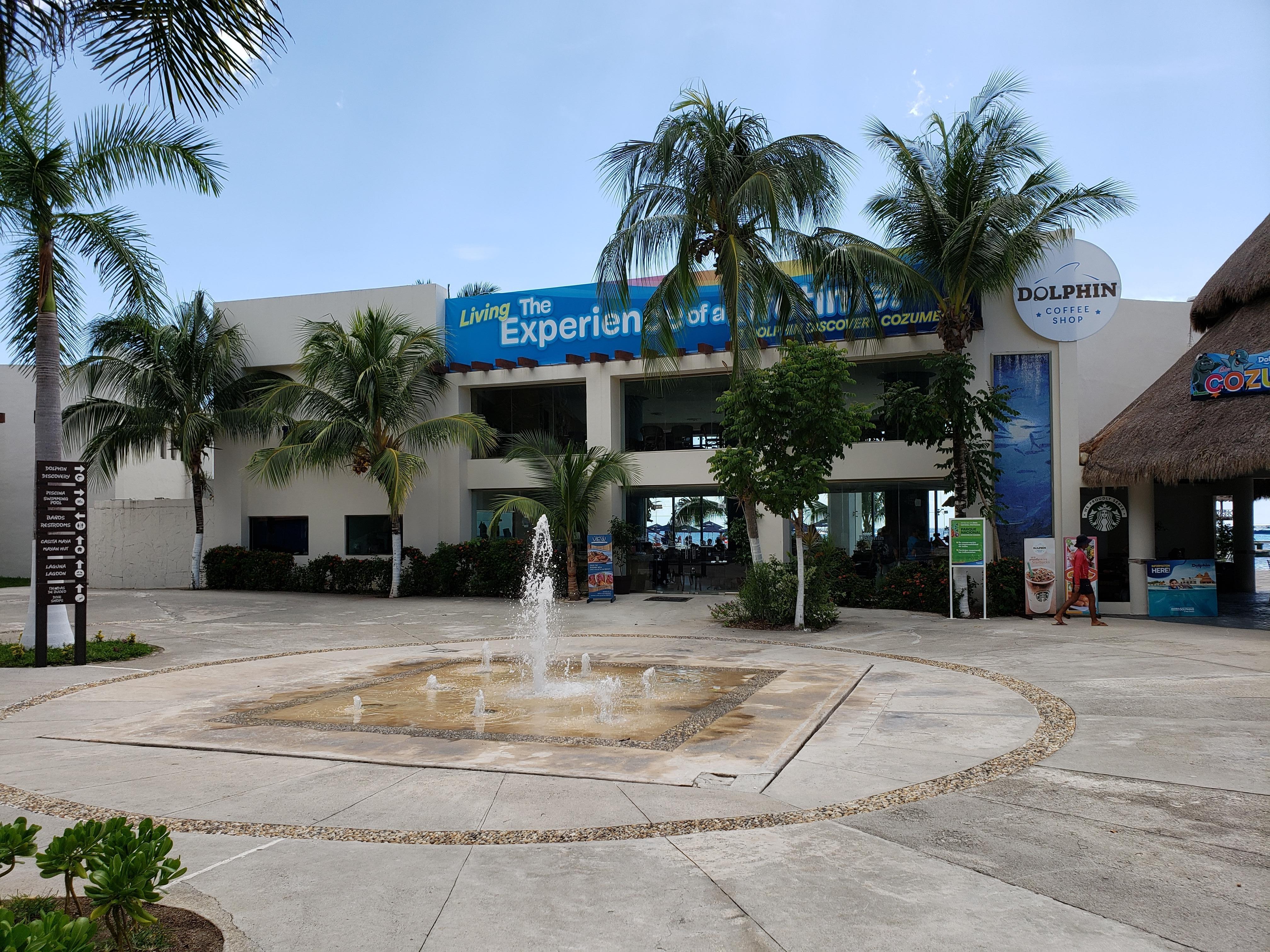 Cozumel Chankanaab Beach Park Snorkel and All Inclusive Day ...