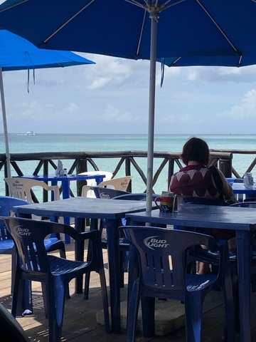 Cozumel Custom Private Jeep Sightseeing, Snorkel, and Beach Club Excursion with Lunch Review