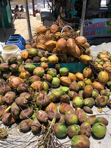 Cozumel Custom Private Jeep Sightseeing, Snorkel, and Beach Club Excursion with Lunch Review