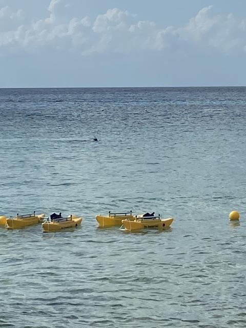 Cozumel Custom Private Jeep Sightseeing, Snorkel, and Beach Club Excursion with Lunch Amazing sites