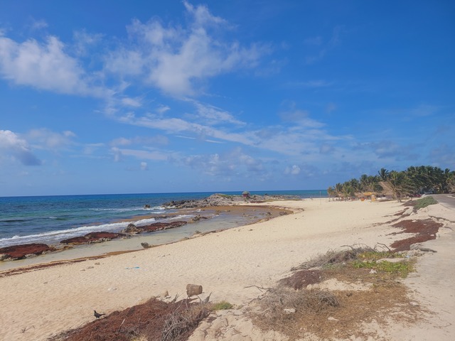 Cozumel Custom Private Jeep Sightseeing, Snorkel, and Beach Club Excursion with Lunch Don't waste your money