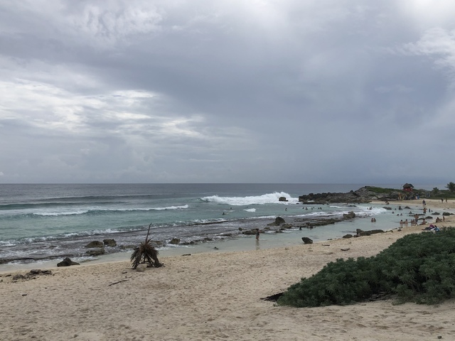 Cozumel Custom Private Jeep Sightseeing, Snorkel, and Beach Club Excursion with Lunch Enjoyed the day! 