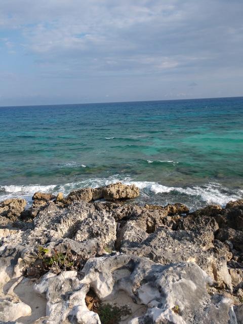 Cozumel East Side Beaches, Bars, and Cantina Hop Excursion Good local bars and food