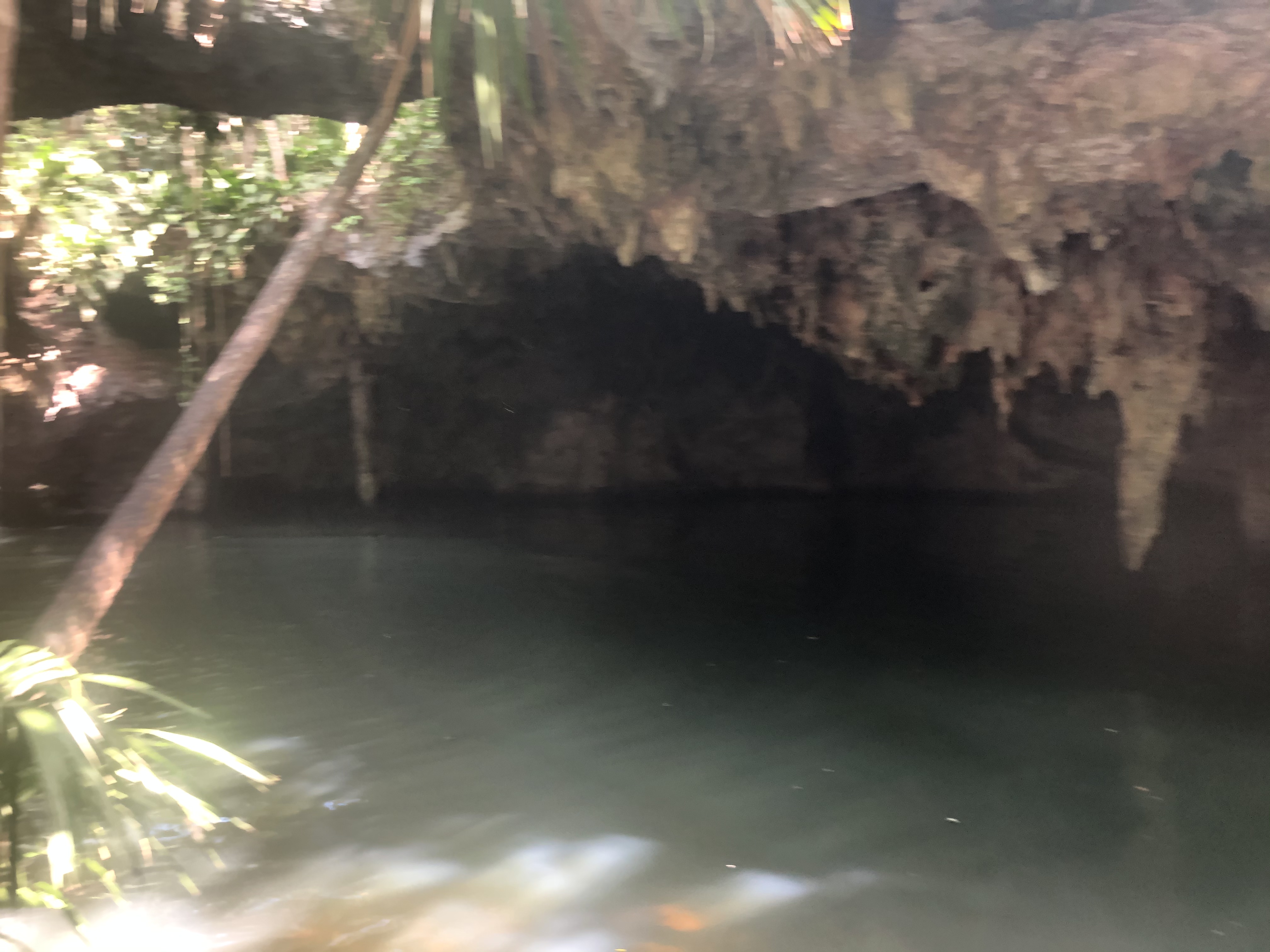 Cozumel Jungle ATV, Jade Cavern and Cenote Swim Excursion - Cozumel  Excursions