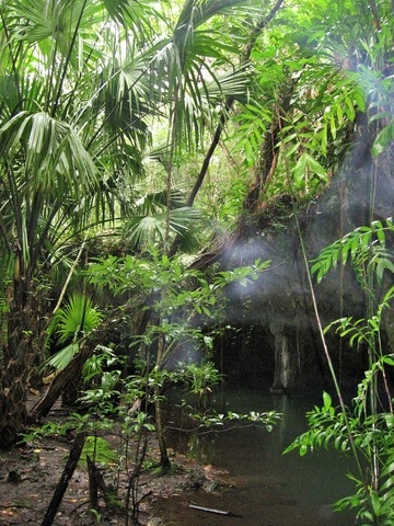 Cozumel Jungle Jeep, Jade Cavern, Cenote Swim and Snorkel Adventure Excursion Incredible time!