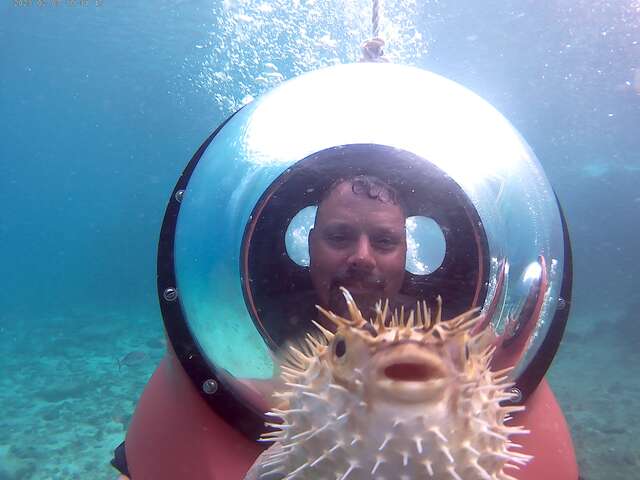 Cozumel Mini Submarine Underwater Scooter Excursion Amazing Underwater Experience