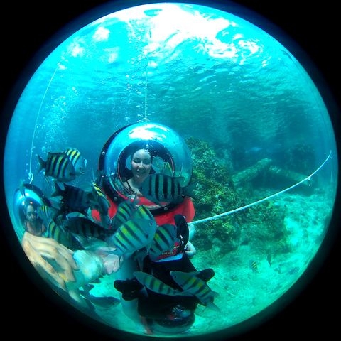 Cozumel Mini Submarine Underwater Scooter Excursion Fun and easy excursion!