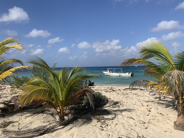 Cozumel Mr. Sanchos Beach Horseback Riding Excursion Intimate experience 