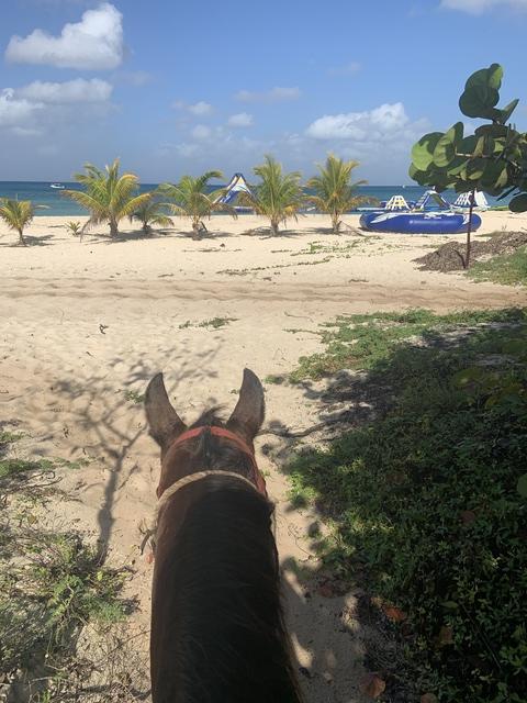 Cozumel Mr. Sanchos Beach Horseback Riding Excursion Intimate experience 