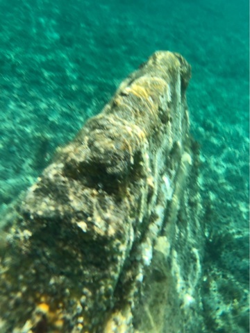Cozumel Playa Mia Grand Beach Break Day Pass Excursion satisfied 