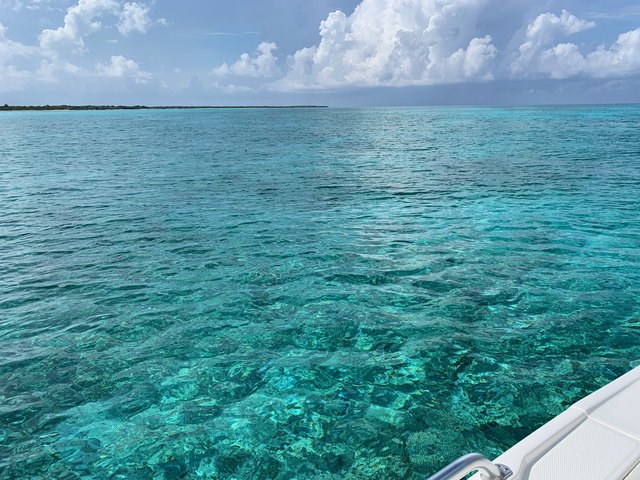 Cozumel Private First Lady Sportfishing Charter THE BEST DAY EVER!!!!