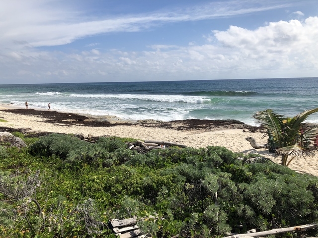 Cozumel Private Island Excursion with Driver and Guide Our fabulous taxi tour with Freddie!