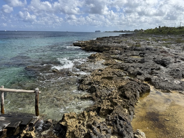 Cozumel Private Island Excursion with Driver and Guide Had a great time!