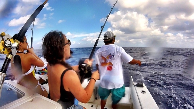 Cozumel Private Secluded Marine Park Reef Snorkel and El Cielo Sandbar Excursion HIGHLY RECOMMEND!!!
